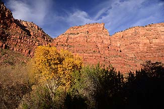 Verde Canyon Railroad, November 29, 2012